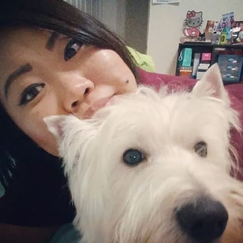 The dogSpaw - Bentley! - Pet Groomers Near Me - Arlington, Texas The dogSpaw - Bentley! - Pet Groomers Near Me - Arlington, Texas