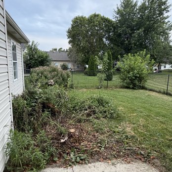 Progress Residential - Extreme over growth. The Christmas tree is hiding in the back left weed jungle - Real Estate Services Near Me - Indianapolis, Indiana Progress Residential - Extreme over growth. The Christmas tree is hiding in the back left weed jungle - Real Estate Services Near Me - Indianapolis, Indiana