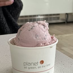 Raspberry Dark Chocolate Gelato
