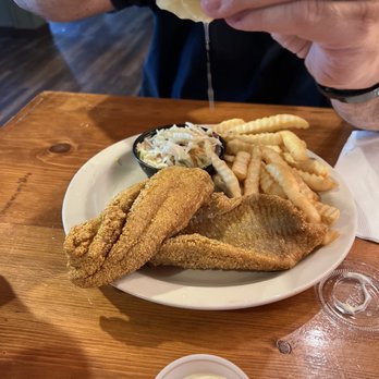 Rowdy Beaver - Catfish and coleslaw was good. The fries were not my fave. They tasted frozen and bland. - New American Near Me - Eureka Springs, Arkansas