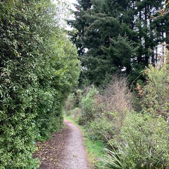 One Mile Power House - Easy trails - Hiking Near Me - Queenstown, OTA
