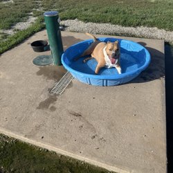 Chapin Dog Park