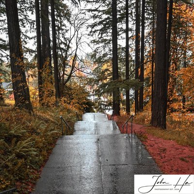 Mt. Tabor Picnic A by null