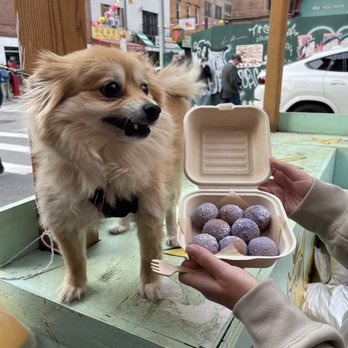 AlimamaTea - Desserts Near Me - New York, New York