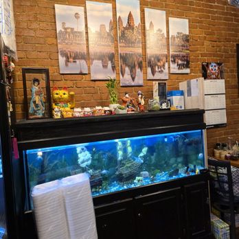 Wok n Roll Kitchen - The fish tank with fishes. - Asian Fusion Near Me - Roanoke, Virginia