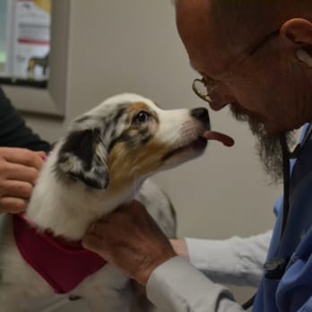 Delaware SPCA - Our Wellness clinic offers visits with one of our veterinarians starting at just $35!
http://www.delspca.org/veterinary-care/ - Animal Shelters Near Me - Newark, Delaware Delaware SPCA - Our Wellness clinic offers visits with one of our veterinarians starting at just $35!
http://www.delspca.org/veterinary-care/ - Animal Shelters Near Me - Newark, Delaware