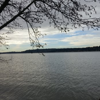 Saint Edward State Park - View from the bottom - Parks Near Me - Kenmore, Washington