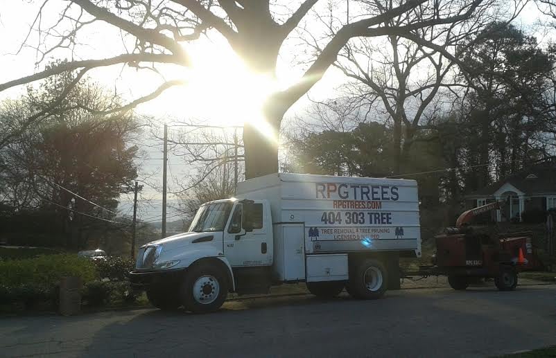 Rpg Trees - tree service in Atlanta, GA
