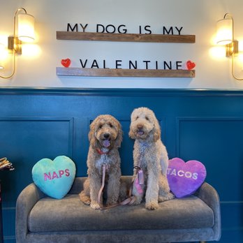 Leash and Collar - Cute photo op section! - Pet Stores Near Me - Sacramento, California Leash and Collar - Cute photo op section! - Pet Stores Near Me - Sacramento, California