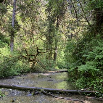 Fern Canyon Trailhead - Parks Near Me
