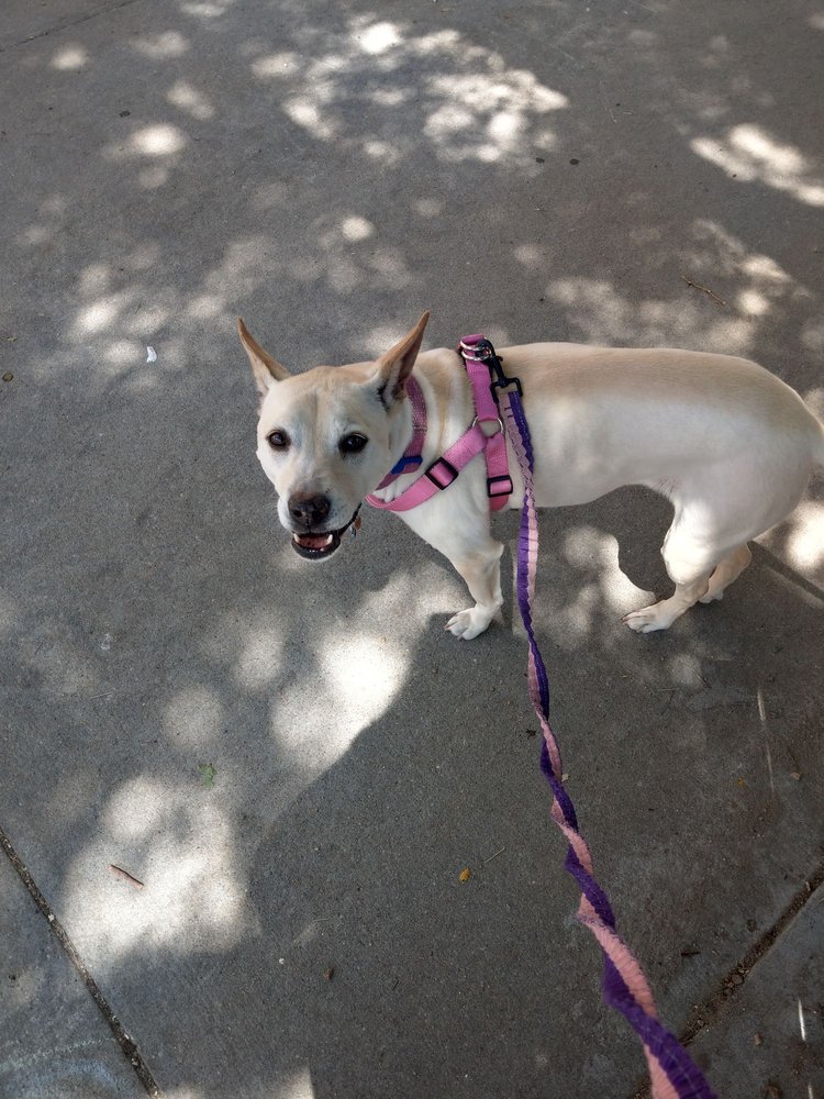 KIT CARSON COUNTY CAROUSEL 25 Photos 815 15th St, Burlington, CO Yelp
