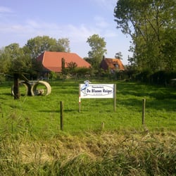 De Blauwe Reiger