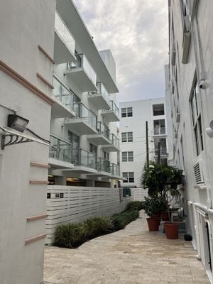 President Hotel South Beach by null