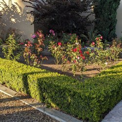 South Gate Park /Sports Center - Rose Garden