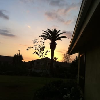 Amazon Tree Service - Tree Services Near Me Amazon Tree Service - Tree Services Near Me