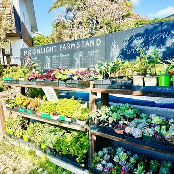 Inn at Moonlight Beach - Farm stand where you can purchase veggies and fruits. - Bed & Breakfast Near Me - Encinitas, California