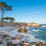 Photo of Pacific Grove Chamber of Commerce