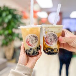 Dori Boba - Jasmine Green Milk Tea & Brown Sugar Fresh Milk