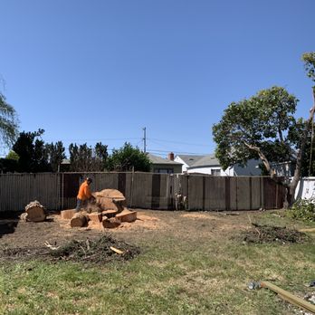 One Two Tree Care - Tree Services Near Me - Fremont, California One Two Tree Care - Tree Services Near Me - Fremont, California