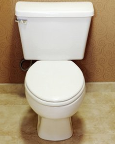 Domenick Electric Sewer Cleaning Logo