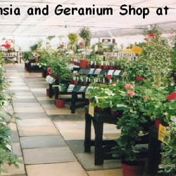 Brynawel Garden Centre - Photo from official website: http://www.brynawelgardencentre.co.uk
