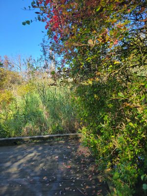 Audubon Society of Rhode Island Nature Center and Aquarium by null