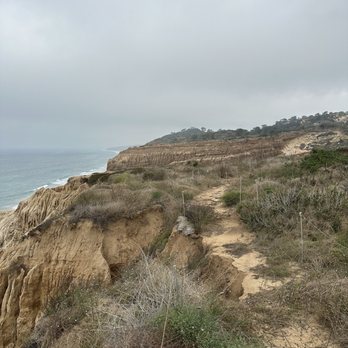 Torrey Pines State Reserve - Trail - Parks Near Me - La Jolla, California Torrey Pines State Reserve - Trail - Parks Near Me - La Jolla, California
