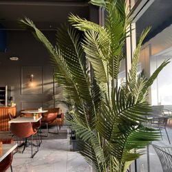 Borsalino - Plantation - Inside... not AI :)