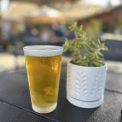 El Dorado Saloon & Grill