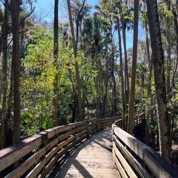 Blue Spring State Park - Parks Near Me - Orange City, Florida Blue Spring State Park - Parks Near Me - Orange City, Florida