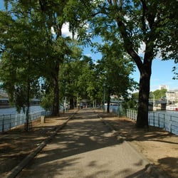 L'île aux Cygnes