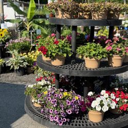 Spotts Hardware & Garden Center - Garden Center florals