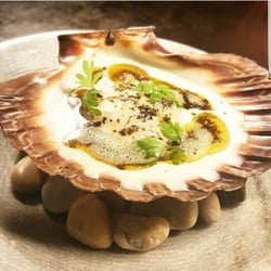 Tulum Turkish Restaurant - Yayla Corbasi ( Yoghurt Soup) - with Raw Baby Scallop, Brown Butter & Mint. Photo from website
