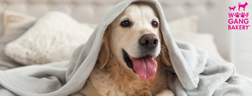 o Jupiter Florida Real Estate For Sale