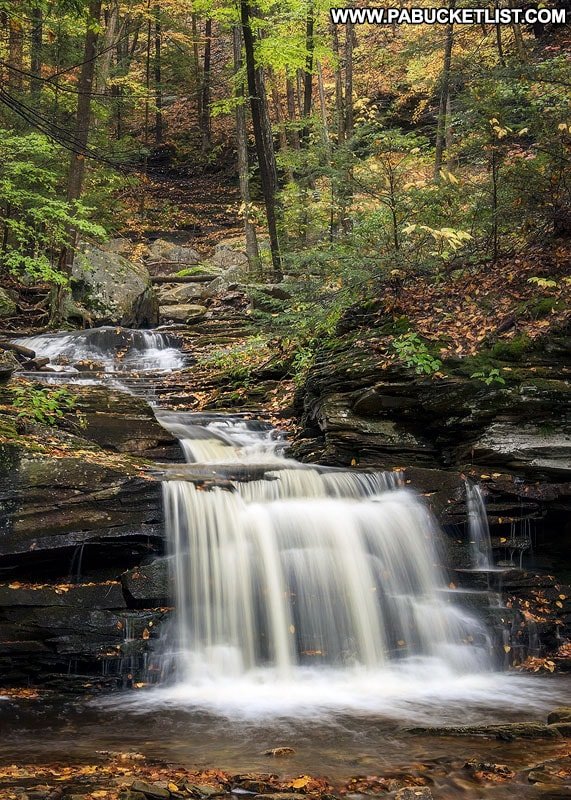 Schizophrenia Speaks - grief counselor in Owensboro, KY