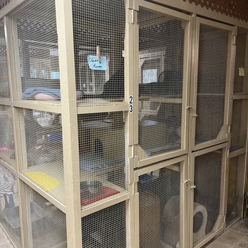 All Pets Boarding Resort - Nice and roomy Cat Condos, 3 + levels.. - Pet Groomers Near Me - Loomis, California