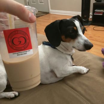 Guiltea Cravings - Tofu approves. - Coffee & Tea Near Me - San Diego, California