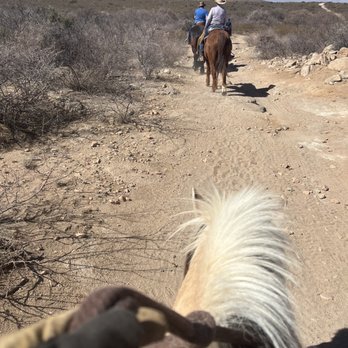 Tombstone Monument Guest Ranch - Last ride with Marshall. - Guest Houses Near Me - Tombstone, Arizona