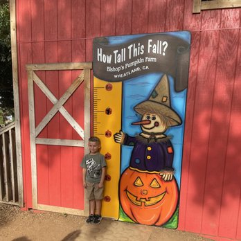 Bishop's Pumpkin Farm - How tall am I ?? - Christmas Trees Near Me - Wheatland, California Bishop's Pumpkin Farm - How tall am I ?? - Christmas Trees Near Me - Wheatland, California