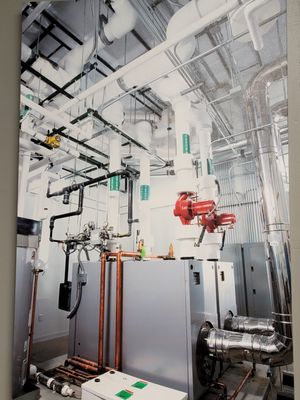 Immaculate Mechanical Systems Logo