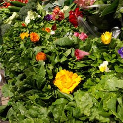 Das BIO-Paradies - Bunte Blumen