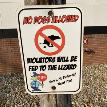 Winking Lizard - Salient advice - American Near Me - Independence, Ohio