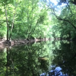 This was in one of the canals we found