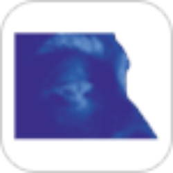Hollico Group Digital Marketing