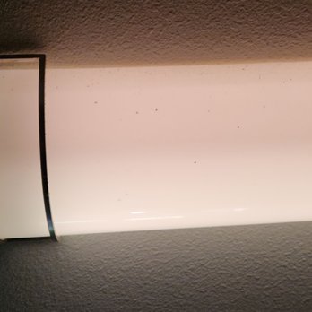 Camden Addison Apartments - Bugs in the overhead lights - Apartments Near Me - Addison, Texas Camden Addison Apartments - Bugs in the overhead lights - Apartments Near Me - Addison, Texas