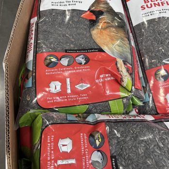 Lowe's Home Improvement - Birbs want the seed - Hardware Stores Near Me - Lodi, California Lowe's Home Improvement - Birbs want the seed - Hardware Stores Near Me - Lodi, California