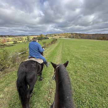 Tioga Trail Rides - Horseback Riding Near Me - Wellsboro, Pennsylvania Tioga Trail Rides - Horseback Riding Near Me - Wellsboro, Pennsylvania