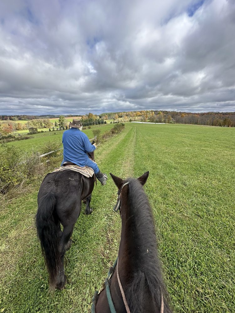 Tioga Trail Rides Logo
