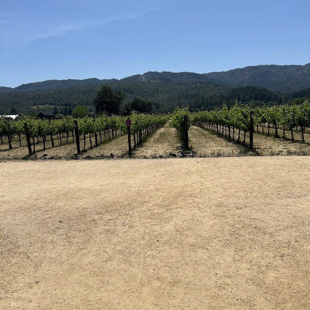 HALL Wines - Vineyards - Wineries Near Me - Saint Helena, California HALL Wines - Vineyards - Wineries Near Me - Saint Helena, California