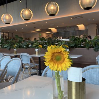 Sabine Cafe & Bar - Inside - Cafes Near Me - Bellevue, Washington Sabine Cafe & Bar - Inside - Cafes Near Me - Bellevue, Washington